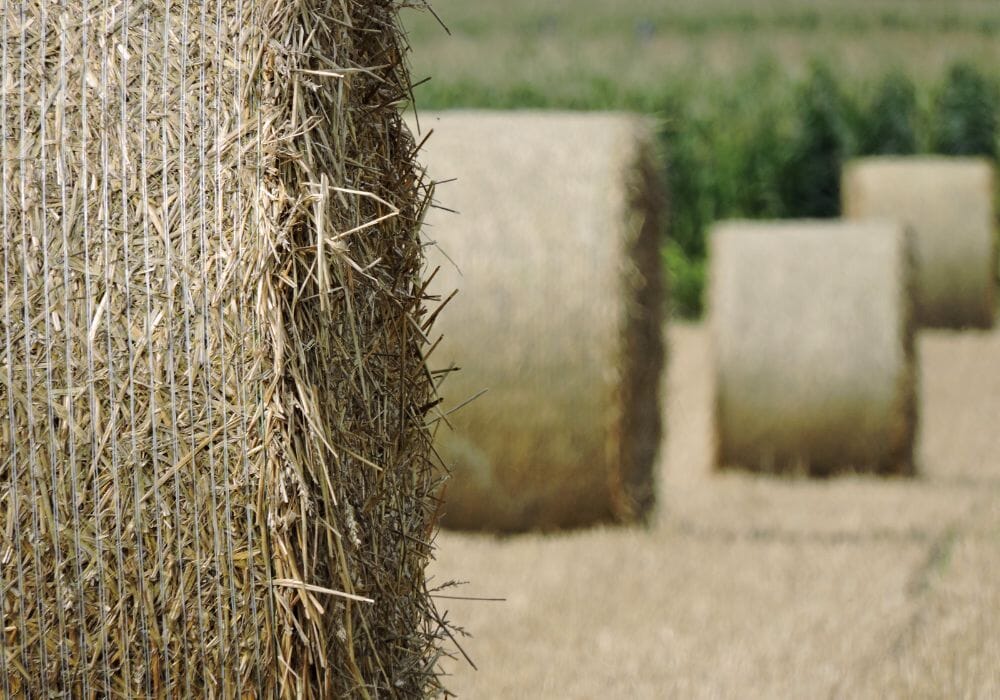 balle fieno